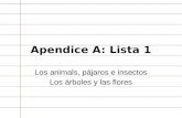 Apendice A: Lista 1 Los animals, pájaros e insectos Los árboles y las flores.