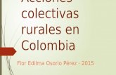 Acciones colectivas rurales en Colombia Flor Edilma Osorio Pérez - 2015.