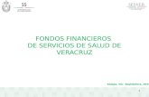 FONDOS FINANCIEROS DE SERVICIOS DE SALUD DE VERACRUZ Xalapa, Ver. Septiembre, 2015 1.
