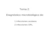 Tema 2:  Diagnóstico microbiológico de: