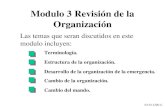 Modulo 3 Revisión de la Organizaci ó n