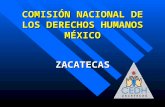 COMISIÓN NACIONAL DE LOS DERECHOS HUMANOS MÉXICO