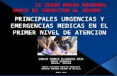 PRINCIPALES URGENCIAS Y EMERGENCIAS MEDICAS EN EL PRIMER NIVEL DE ATENCION