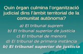 Quin òrgan culmina l’organització judicial dins l’àmbit territorial de la comunitat autònoma?