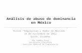 Análisis de abuso de dominancia en México