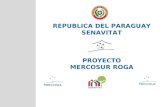 REPUBLICA DEL PARAGUAY SENAVITAT PROYECTO MERCOSUR ROGA