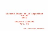 Sistema Único de la Seguridad Social SUSS Decreto 2284/91 Art. 85 Dra. Mirta Noemí Userpater