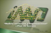 “Modelo normativo y organizacional” ( Plan de Acción)