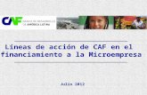 Líneas de acción de CAF en el  financiamiento a la  Microempresa