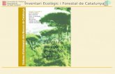 Inventari Ecològic i Forestal de Catalunya