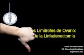 Tumores Limítrofes de Ovario:  Papel de la  Linfadenectomía