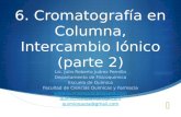6. Cromatografía en Columna, Intercambio Iónico (parte 2)