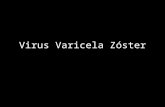 Virus Varicela Zóster