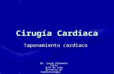 Cirugía Cardiaca