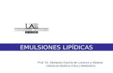 Prof. Dr. Abelardo García de Lorenzo y Mateos Cátedra de Medicina Crítica y Metabolismo