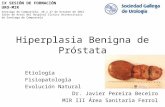 Hiperplasia Benigna de Próstata