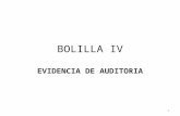 BOLILLA IV