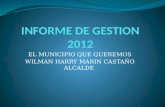 INFORME DE GESTION 2012