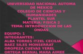 UNIVERSIDAD NACIONAL AUTOMA DE MEXICO COLEGIO DE CIENCIAS Y HUMANIDADES PLANTEL SUR