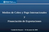Medios de Cobro y Pago Internacionales  y  Financiación de Exportaciones