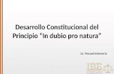 Desarrollo Constitucional del Principio “In dubio pro natura”