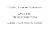 ITESM, Campus Monterrey CV00-845  Métodos num éricos Álgebra y clasificación de matrices