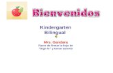Kindergarten Bilingual Mrs. Gandara Favor de firmar la hoja de  “Sign-In” y tomar asiento