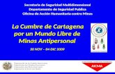 La Cumbre de Cartagena por un Mundo Libre de Minas Antipersonal 30 NOV – 04 DIC 2009