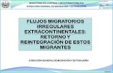 Flujos migratorios irregulares Extracontinentales: retorno y reintegración de estos migrantes