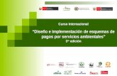 Curso Internacional “ Diseño e implementación de esquemas de pagos por servicios ambientales”
