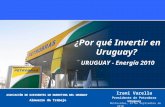 ¿ Por qué Invertir en Uruguay?  URUGUAY - Energ í a 2010