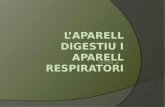 L’aparell digestiu i aparell respiratori