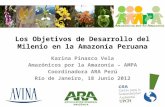 Los  Objetivos  de  Desarrollo  del  Milenio  en la Amazonía  Peruana