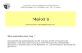 Meiosis Producción de células reproductiva