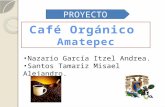 Café Orgánico  Amatepec