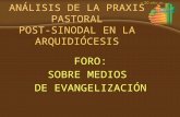 ANÁLISIS  DE LA PRAXIS PASTORAL POST-SINODAL EN LA ARQUIDIÓCESIS