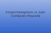 Körpermetaphern in Julio Cortázars  Rayuela