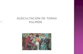 AUSCULTACIÓN DE TORAX                             PULMÓN