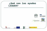 ¿Qué son las ayudas LEADER?
