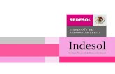 Indesol Instituto Nacional de Desarrollo Social