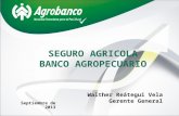 SEGURO AGRICOLA BANCO AGROPECUARIO