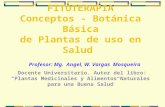 FITOTERAPIA  Conceptos - Botánica Básica de Plantas de uso en Salud