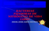UNIVERSIDAD DE ANTIOQUIA FACULTAD DE INGENIERIA INGENIERIA SANITARIA Y AMBIENTAL (Microbiología)