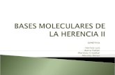 BASES MOLECULARES DE LA HERENCIA II