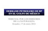 DERRAME PETROLERO DE BP EN EL GOLFO DE MÉXICO