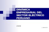 DINÁMICA EMPRESARIAL DEL SECTOR ELÉCTRICO PERUANO