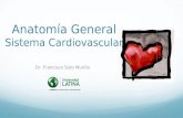 Anatomía General Sistema Cardiovascular