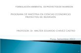 FORMULACIÓN AMBIENTAL  DE PROYECTOS DE INVERSION