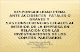 RESPONSABILIDAD PENAL ANTE ACCIDENTES  FATALES O GRAVES Y