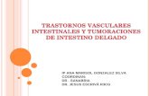 TRASTORNOS VASCULARES INTESTINALES Y TUMORACIONES DE INTESTINO DELGADO